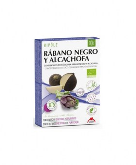RABANO NEGRO Y ALCACHOFA1